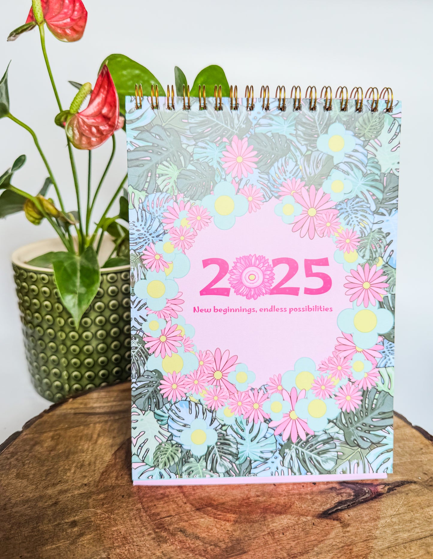 2025 Collection Gift Box